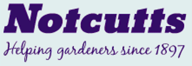 Notcutts Coupons & Promo Codes